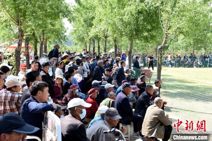 五一清晨沛县八堡村沙河畔村界杯点燃乡村足球