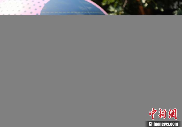 巴黎奥运志愿者装备分发中心：百万件装备如何